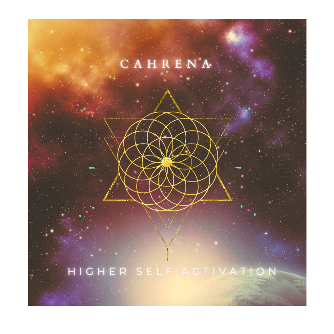 Home Store – Insight